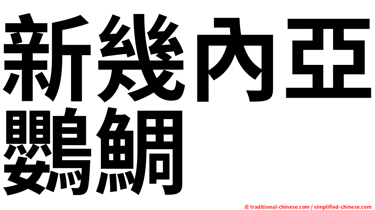 新幾內亞鸚鯛