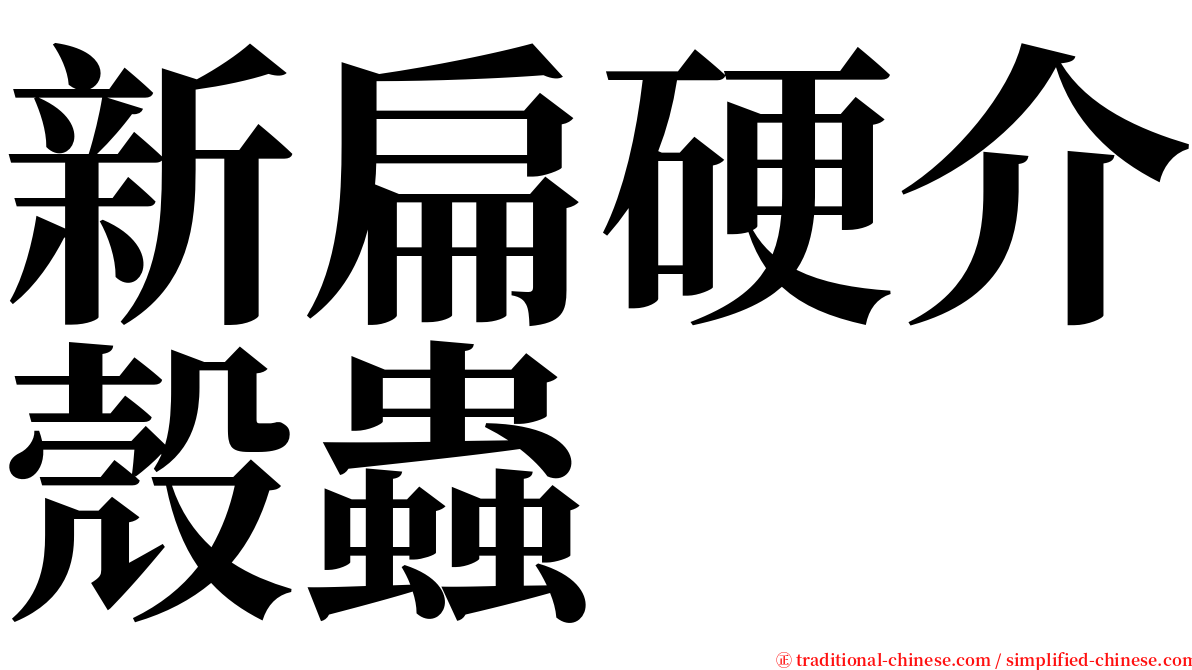 新扁硬介殼蟲 serif font