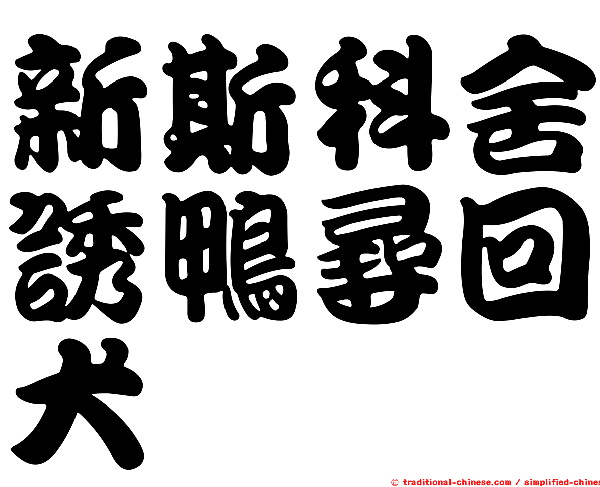 新斯科舍誘鴨尋回犬