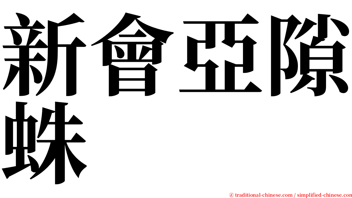 新會亞隙蛛 serif font
