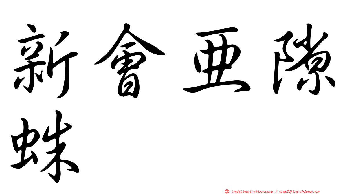 新會亞隙蛛