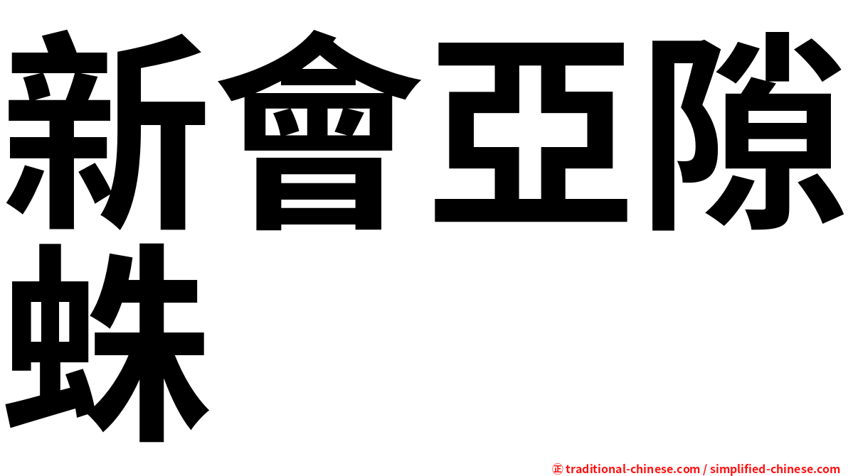 新會亞隙蛛