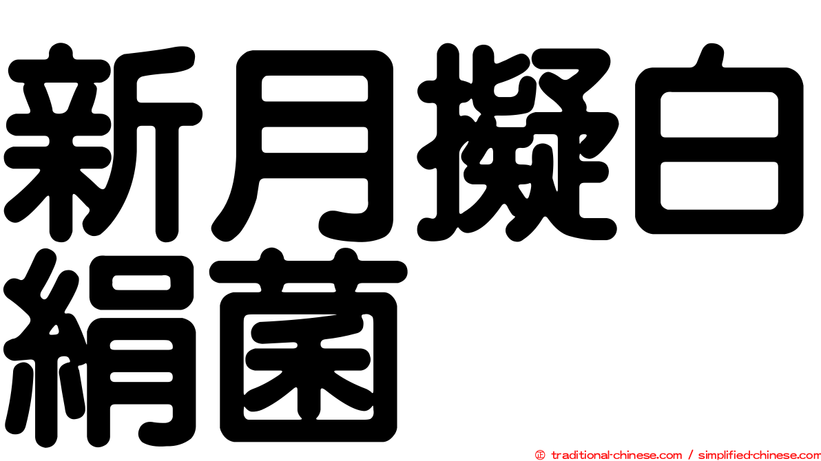 新月擬白絹菌