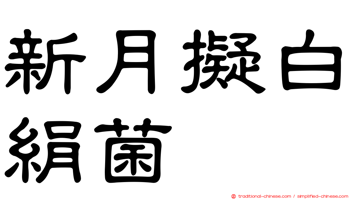新月擬白絹菌