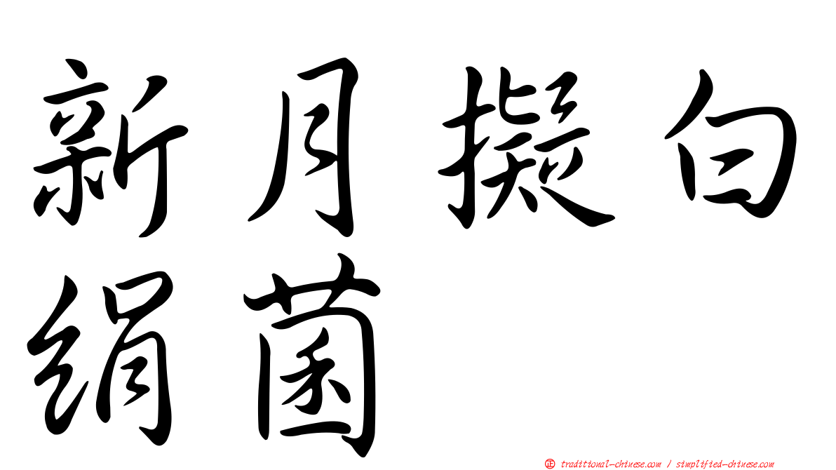 新月擬白絹菌