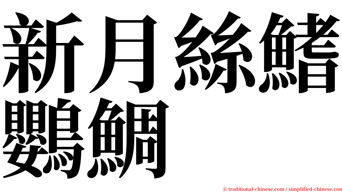 新月絲鰭鸚鯛 serif font