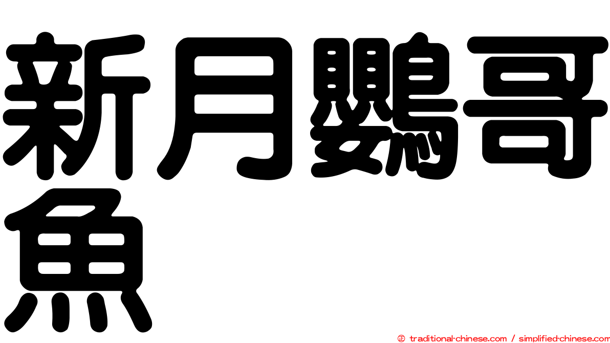 新月鸚哥魚