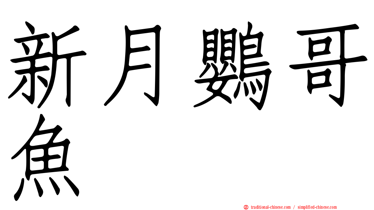 新月鸚哥魚