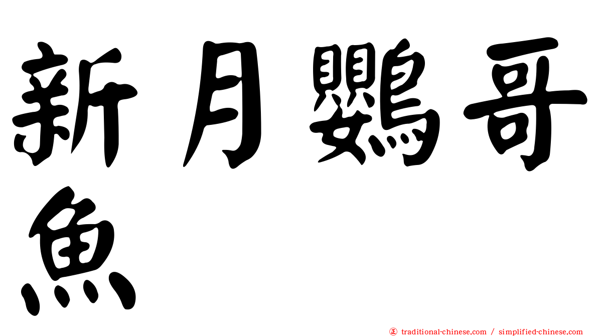 新月鸚哥魚