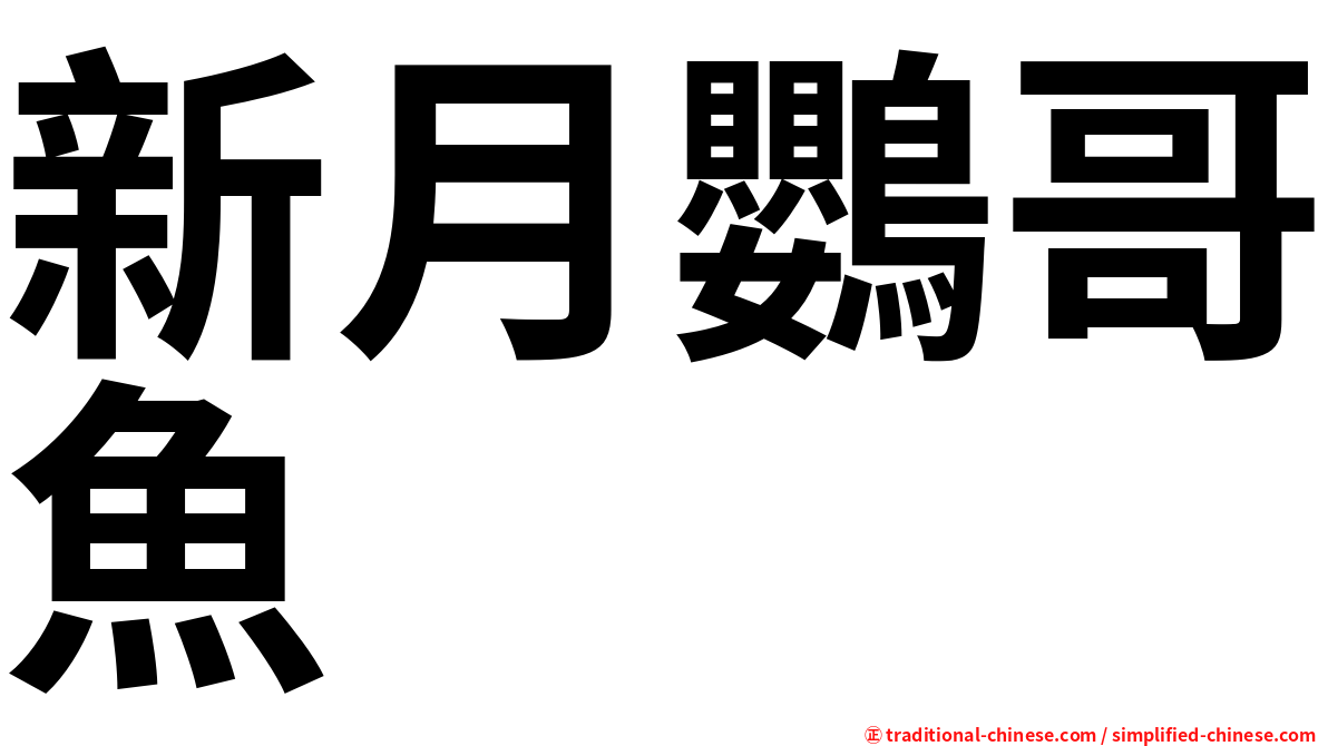 新月鸚哥魚