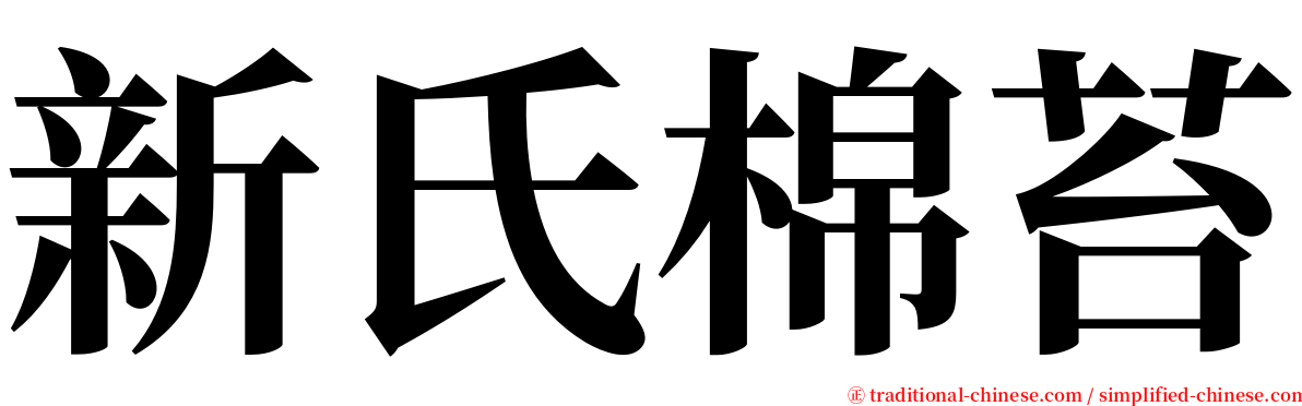新氏棉苔 serif font