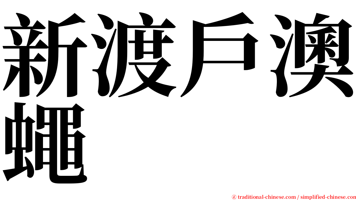 新渡戶澳蠅 serif font