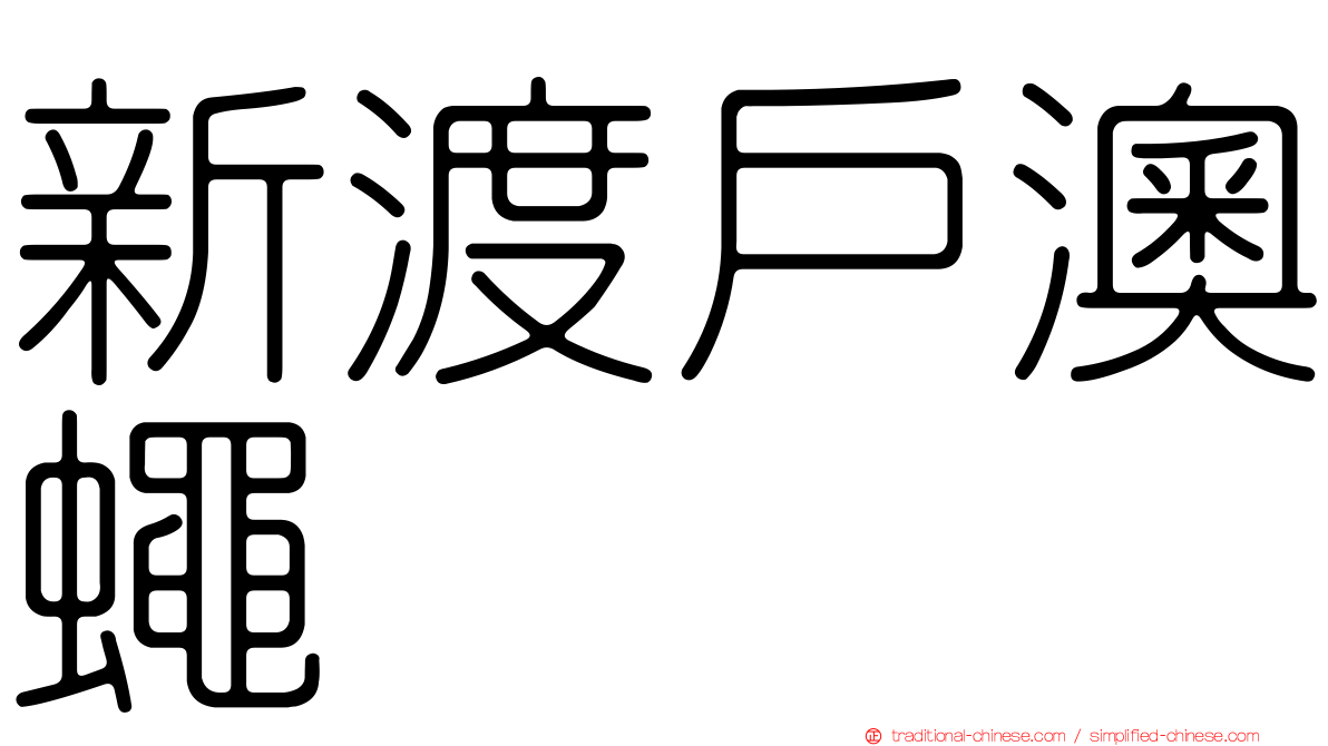 新渡戶澳蠅