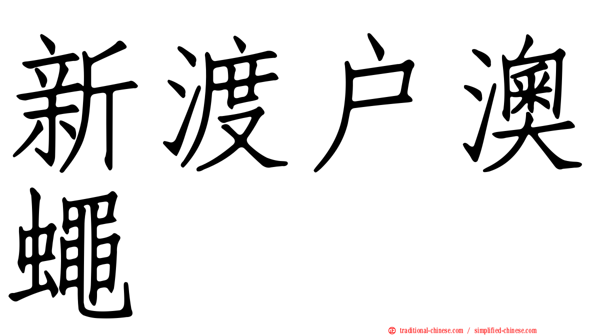 新渡戶澳蠅