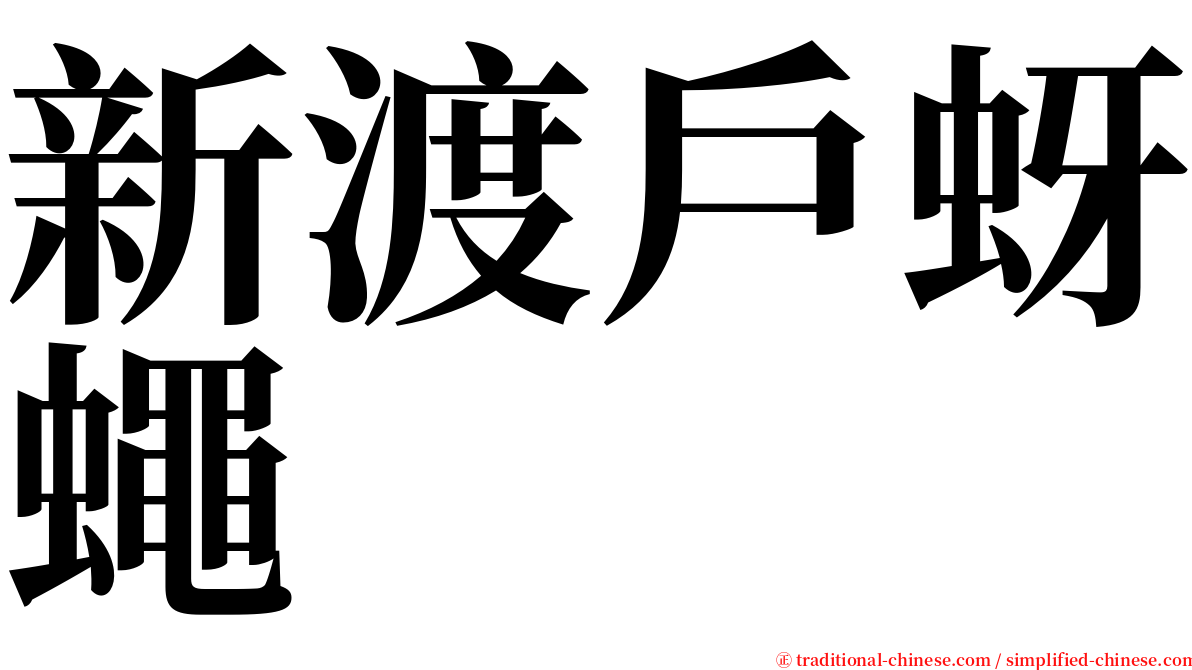 新渡戶蚜蠅 serif font