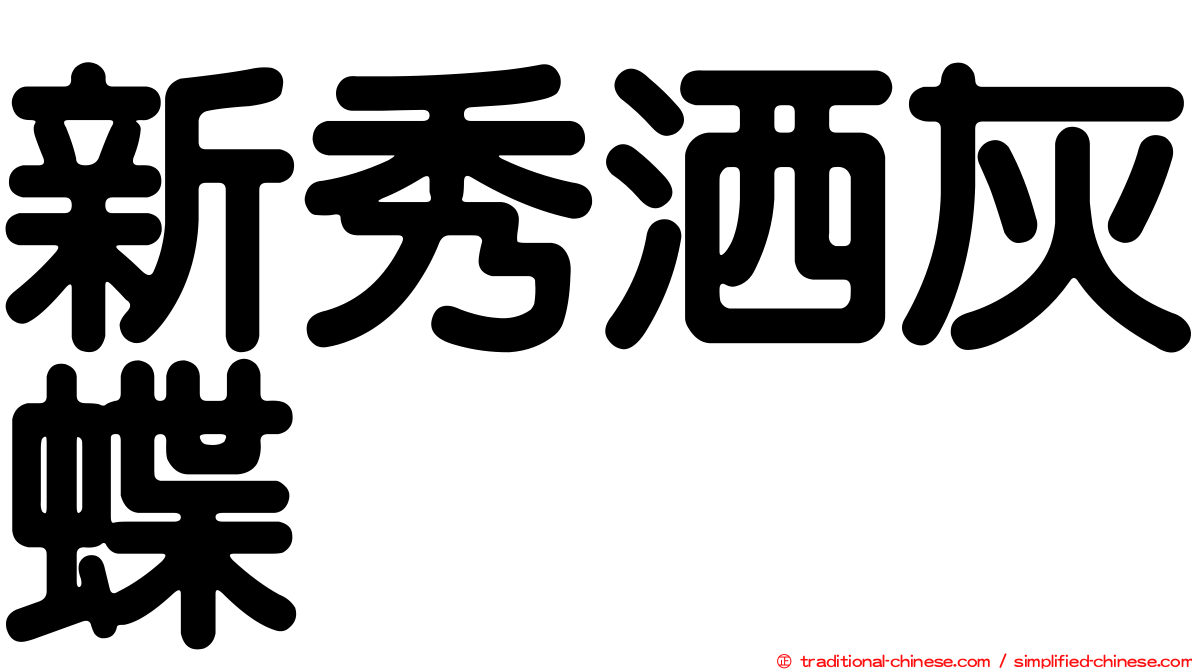 新秀洒灰蝶