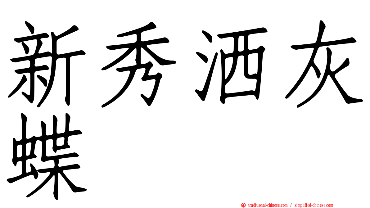 新秀洒灰蝶