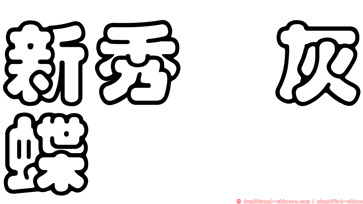 新秀洒灰蝶