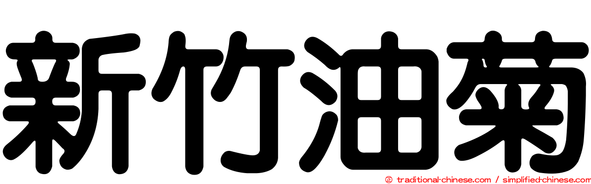 新竹油菊
