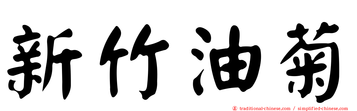 新竹油菊