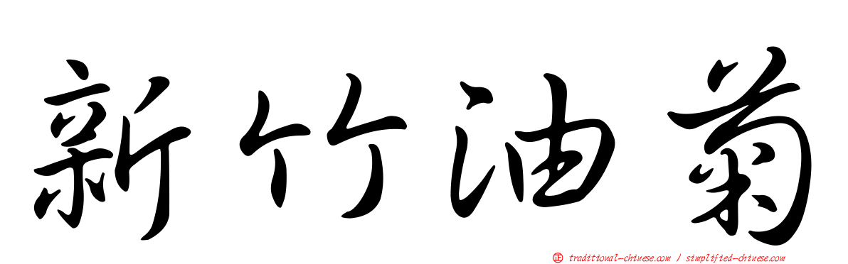 新竹油菊