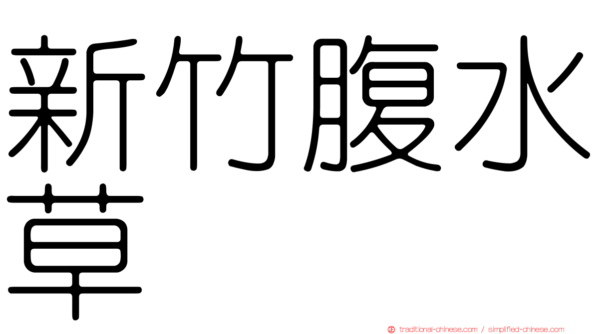 新竹腹水草
