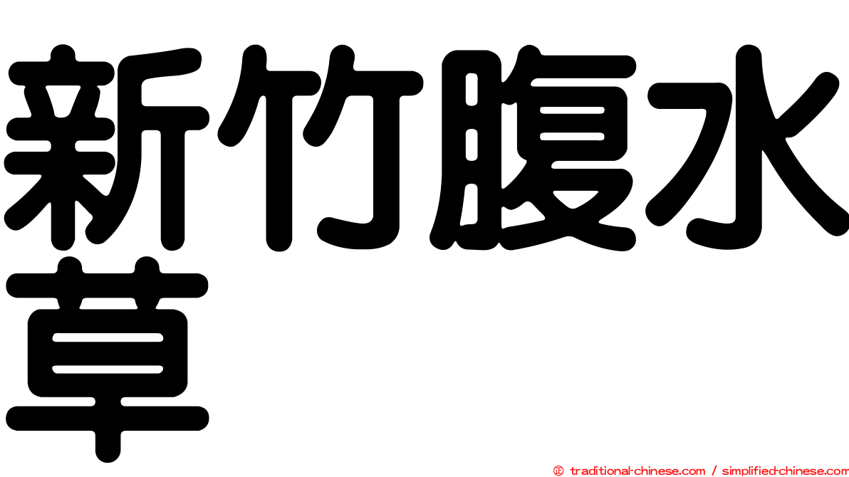 新竹腹水草