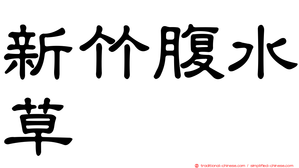 新竹腹水草