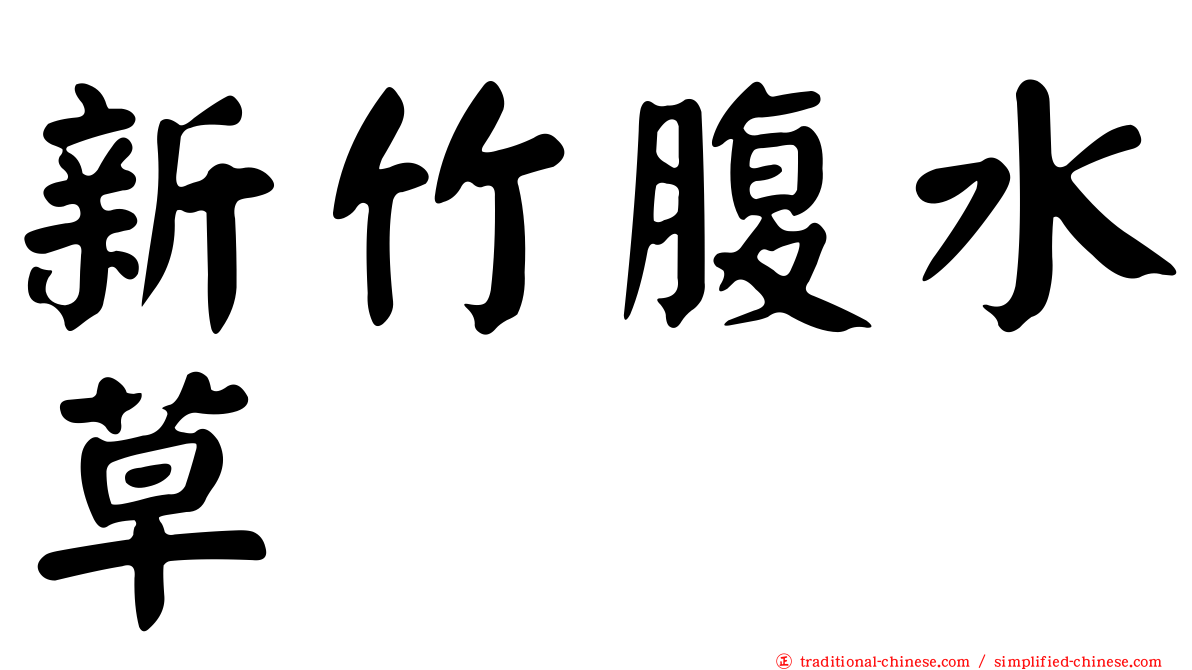新竹腹水草