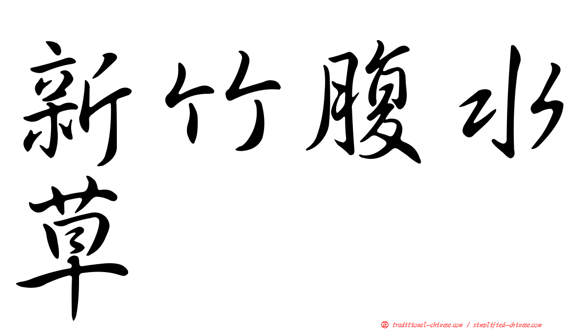 新竹腹水草