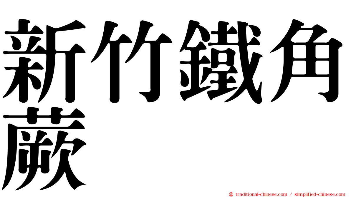 新竹鐵角蕨