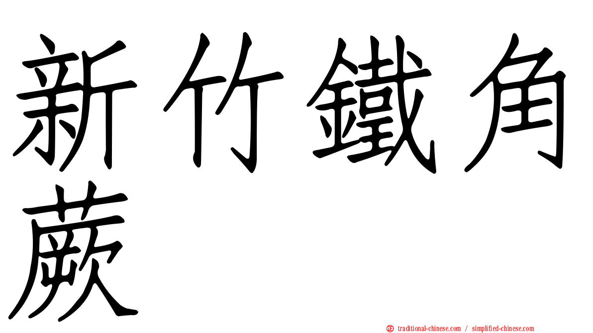 新竹鐵角蕨