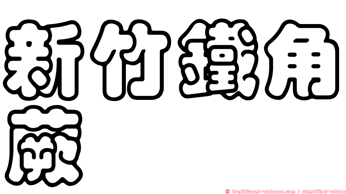 新竹鐵角蕨