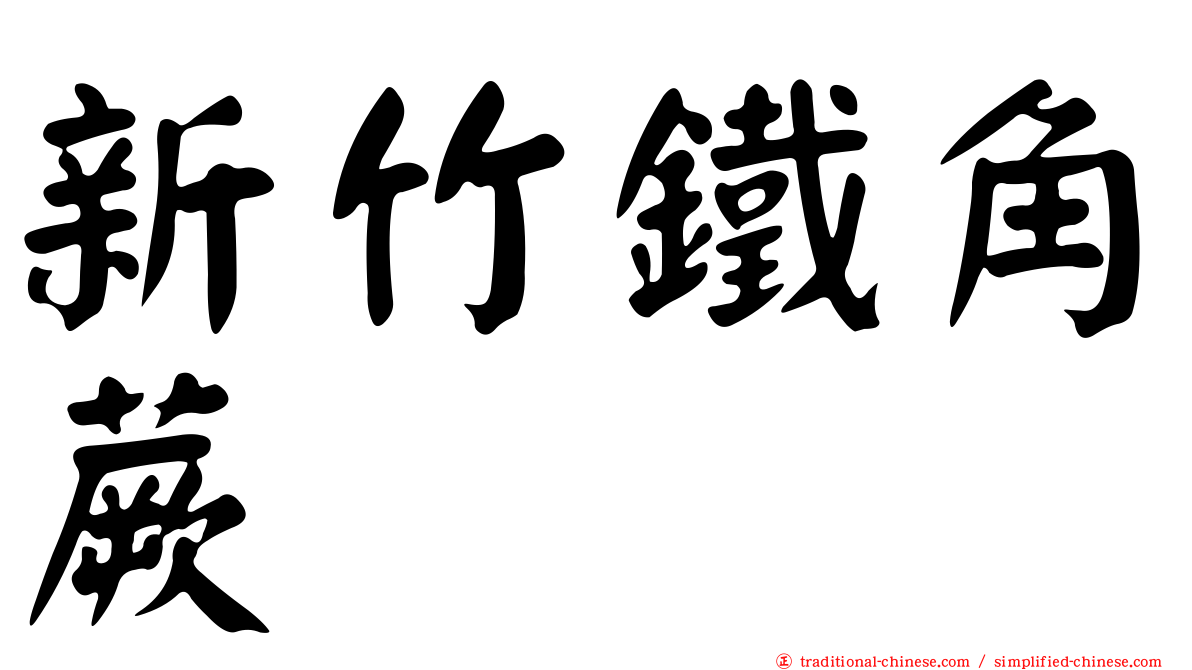 新竹鐵角蕨
