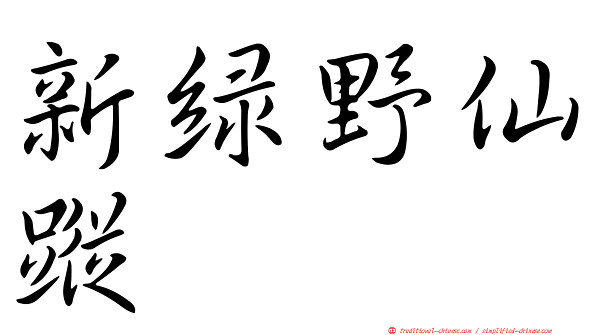 新綠野仙蹤