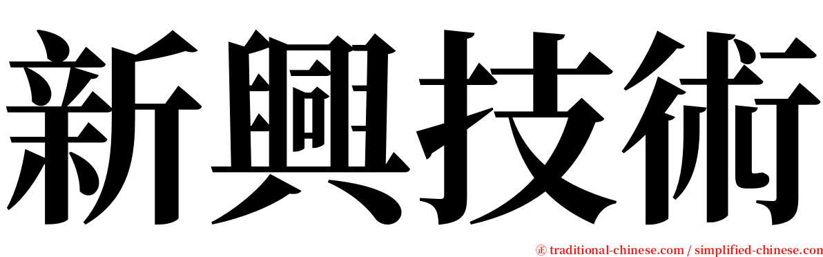 新興技術 serif font