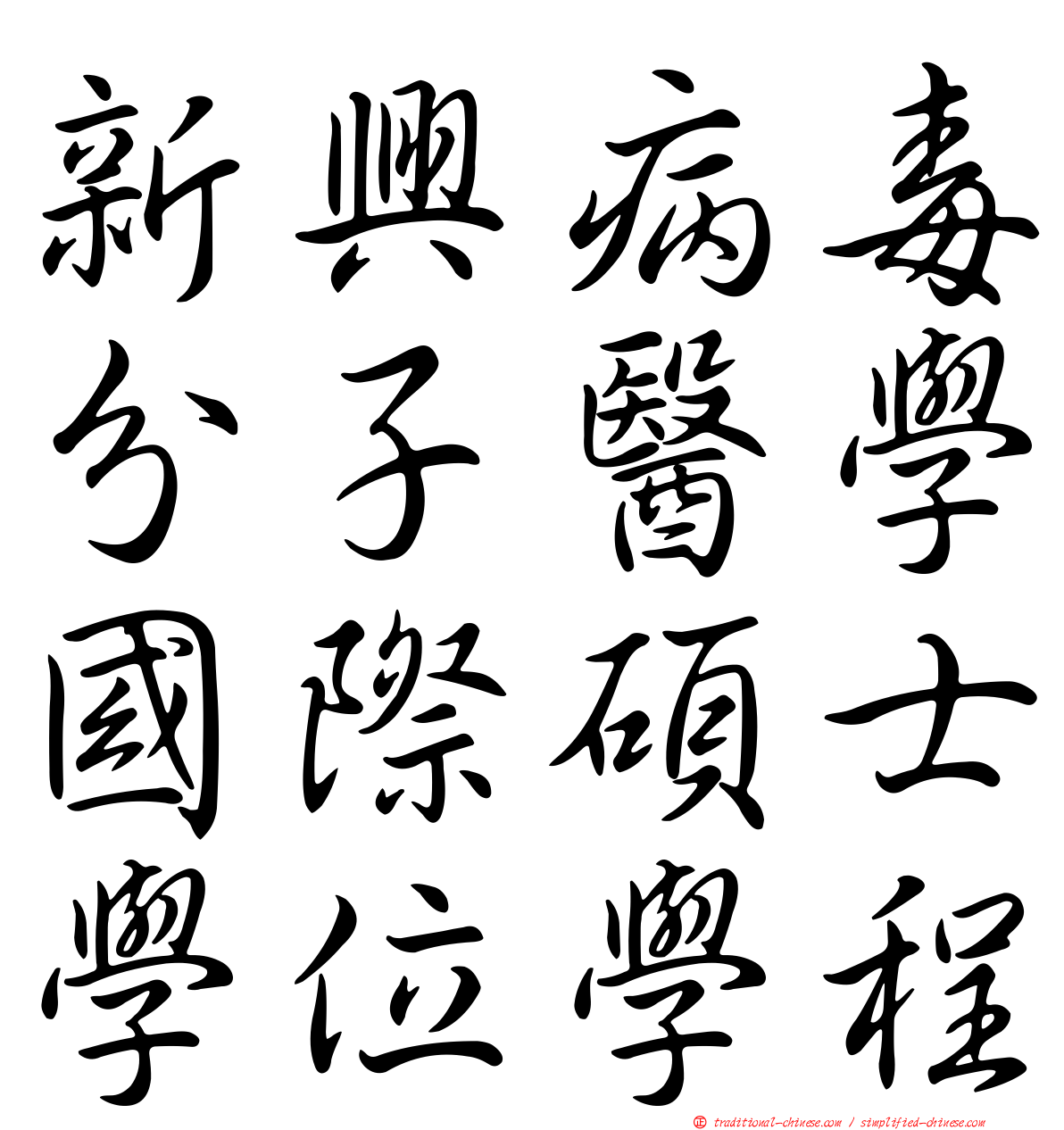 新興病毒分子醫學國際碩士學位學程