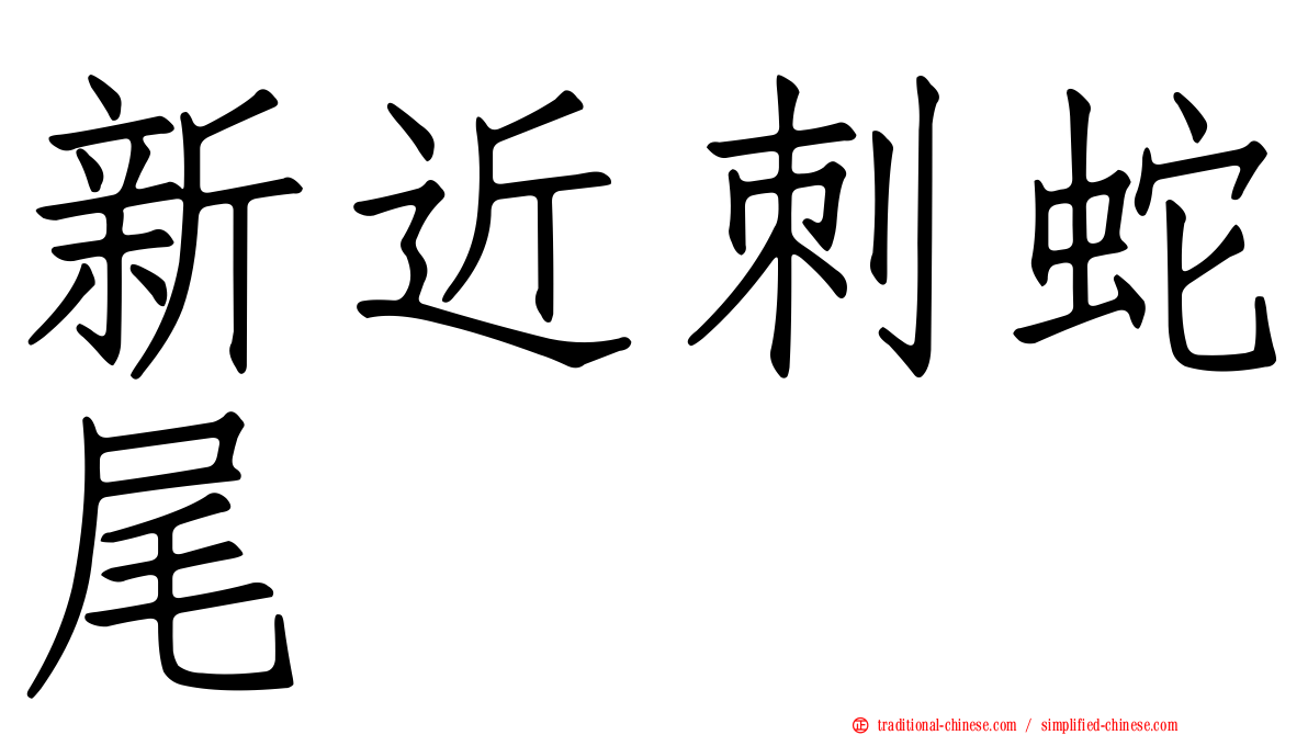 新近刺蛇尾