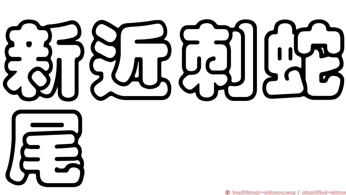 新近刺蛇尾