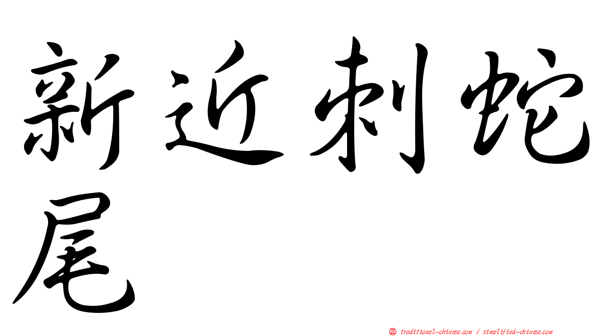 新近刺蛇尾