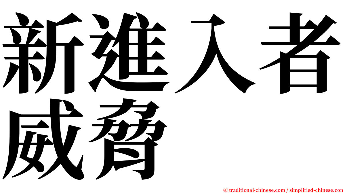 新進入者威脅 serif font