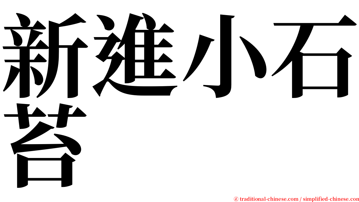 新進小石苔 serif font