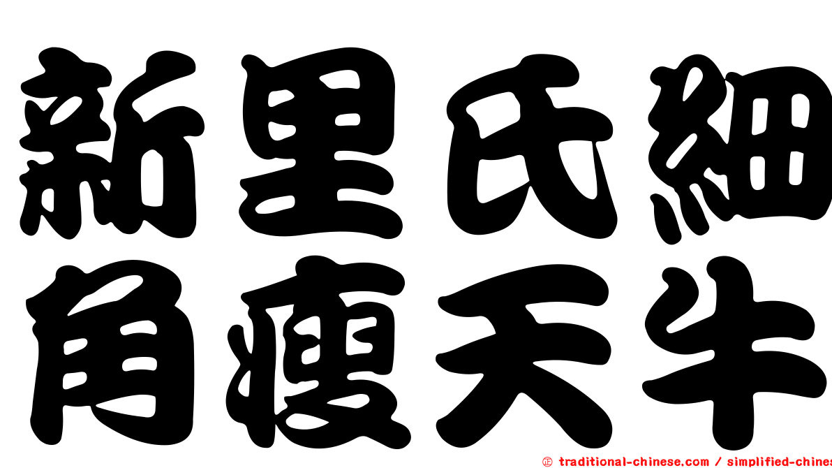 新里氏細角瘦天牛