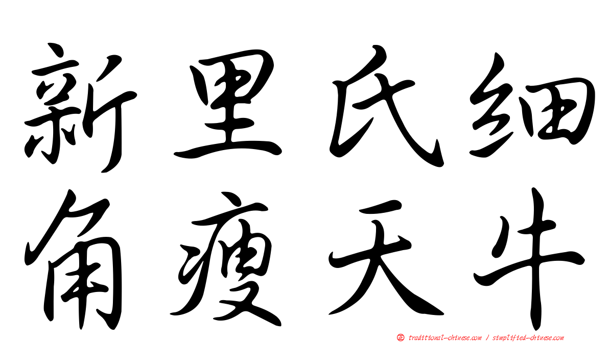 新里氏細角瘦天牛