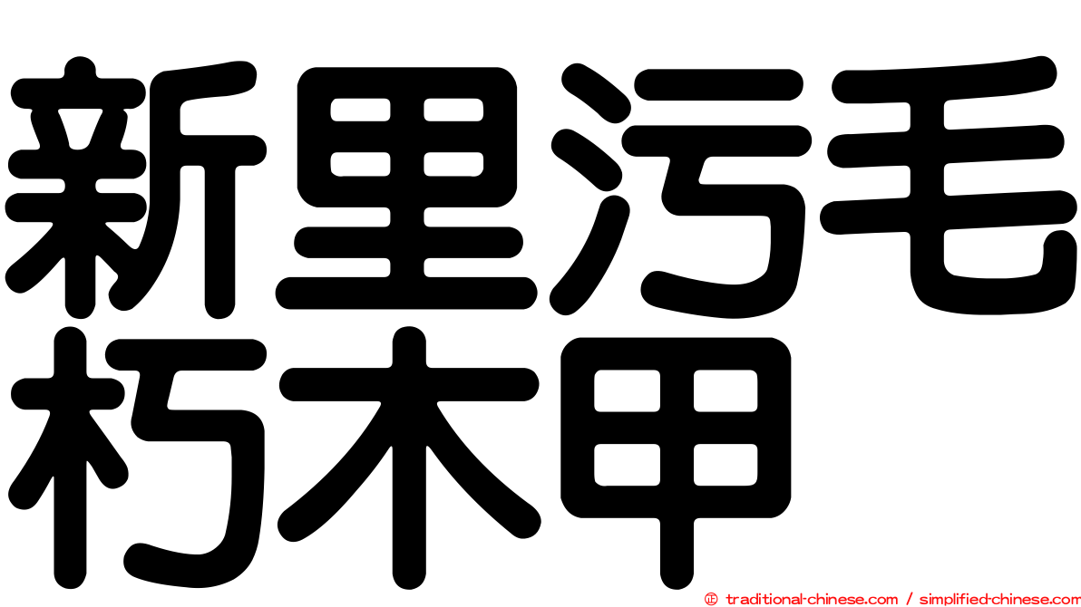 新里污毛朽木甲