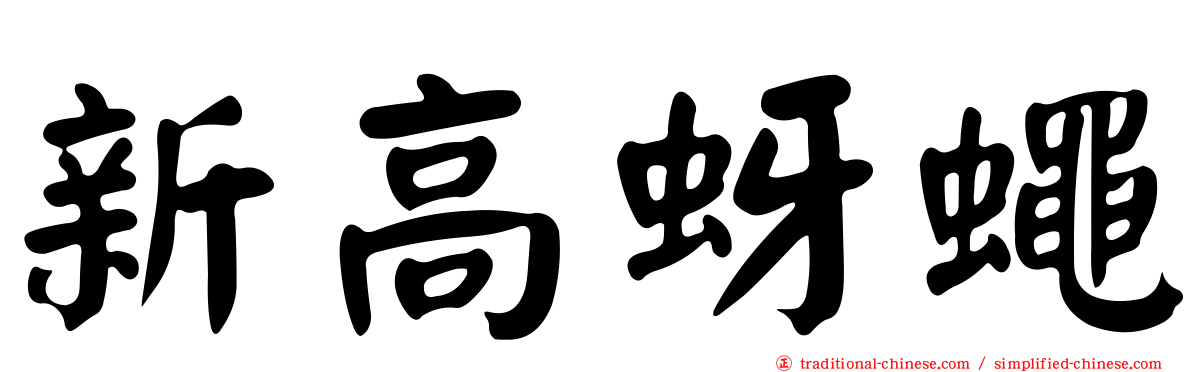 新高蚜蠅