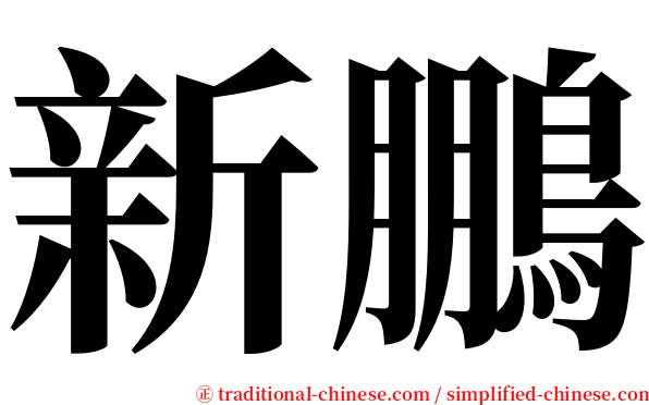 新鵬 serif font