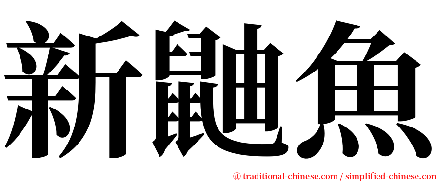 新鼬魚 serif font