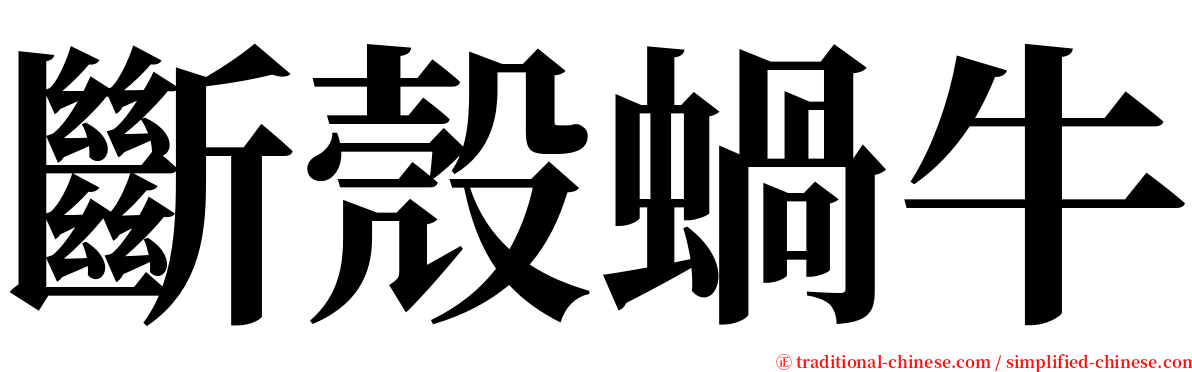 斷殼蝸牛 serif font