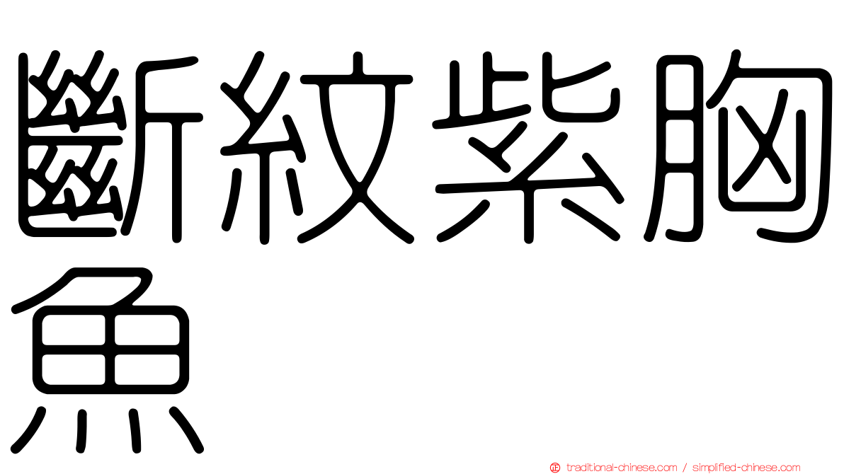 斷紋紫胸魚